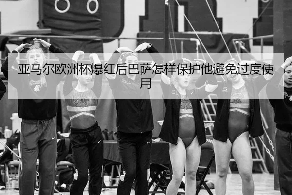 ya-ma-er-ou-zhou-bei-bao-hong-hou-ba-sa-zen-yang-bao-hu-ta-bi-mian-guo-du-shi-yong-3-289.jpg